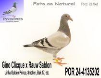 POR 24-4135202